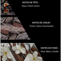 Bougie - Arabic Cosmetics