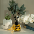 Diffuseur Melon 120ml